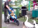 feeding-the-ducks.jpg