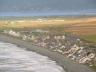 Autumnal Colours of Borth