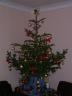 Xmas Tree decorated