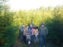 Deep into the woods