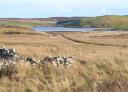 Loch Gearach, The Rinns of Islay