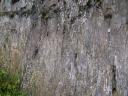 Glacial Striations